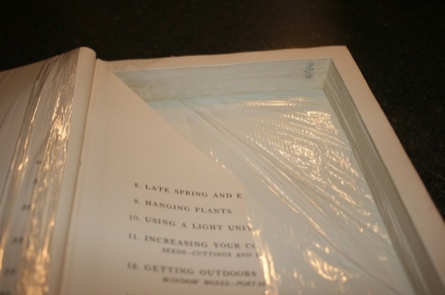 Now carefully cut the page along the edges.
